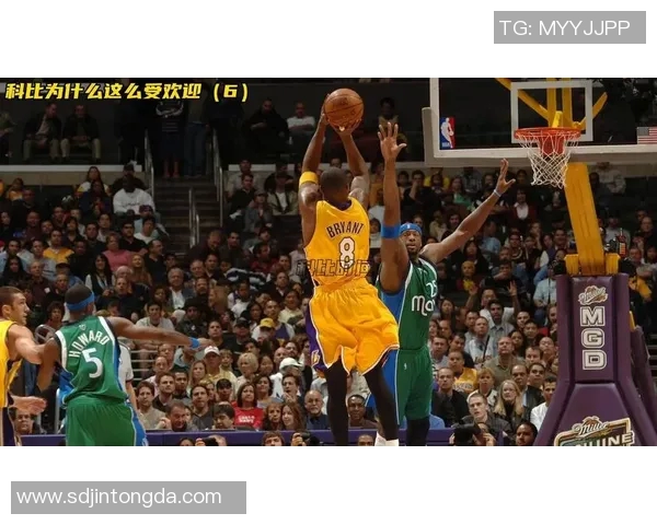 科比传奇：从青春到巅峰的篮球人生与不朽精神