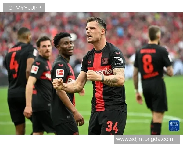 勒沃库森足球俱乐部的历史成就与未来发展潜力探讨