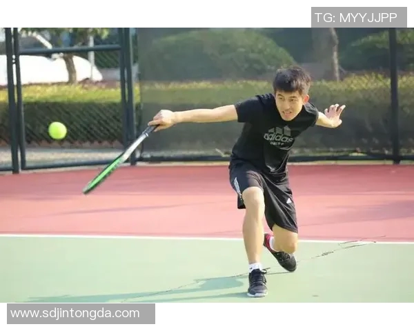 西安网球队个人能力深度对比与分析探讨 西安网球队个人能力深度对比与分析探讨